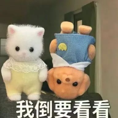 202412314515567 9888拉斯维加斯(股份)有限公司-官方网站