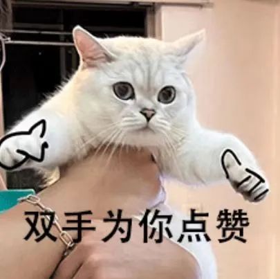 202412316522395 9888拉斯维加斯(股份)有限公司-官方网站