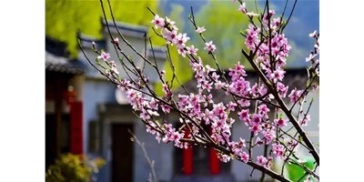 阳春三月，9888拉斯维加斯精机一大波展会即将来袭，您筹备好了吗？