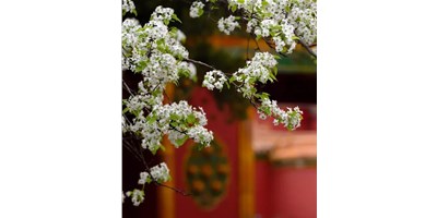 【展会资讯】9888拉斯维加斯精机5月展会一览，等您来参观！